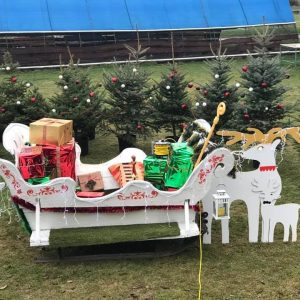 48387054_2201179226582379_8109159715277111296_n